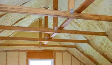 démoussage toiture Angers-5